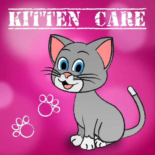 Kattunge vård: Letar du och kärleksfull katt — Stockfoto