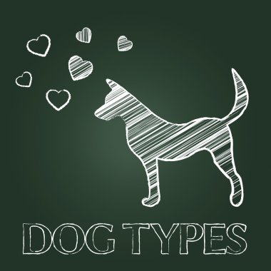 Temsil Kategori sınıfları ve safkan köpek türleri
