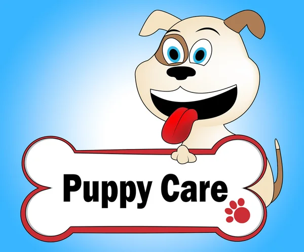 Puppy verzorging vertegenwoordigt op zoek na en hondje — Stockfoto