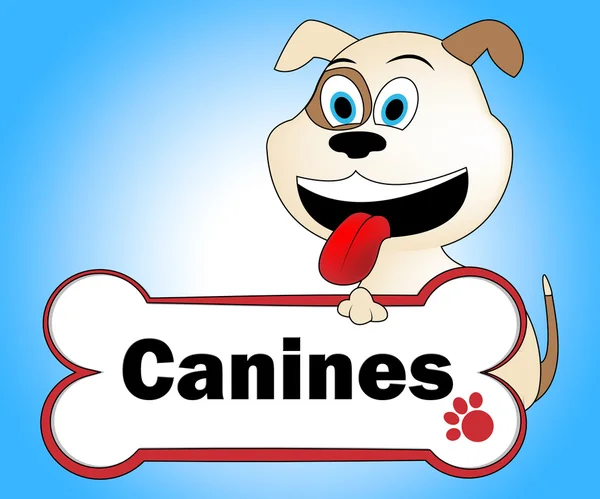 Canino com osso indica cachorro Pedigree e animal de estimação — Fotografia de Stock