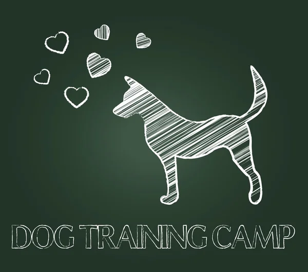 Pies obóz treningowy pokazuje instrukcja nauczał i psów — Zdjęcie stockowe