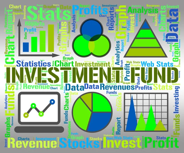 Fondo di investimento Mostra grafici finanziari e grafici — Foto Stock