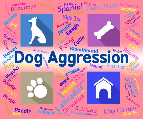 Dog Aggression Represents Angry Aggressor And Pet — Stock Photo, Image