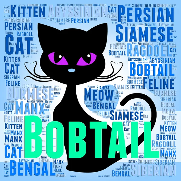 Bobtail Cat representa el apareamiento y la reproducción del gato —  Fotos de Stock