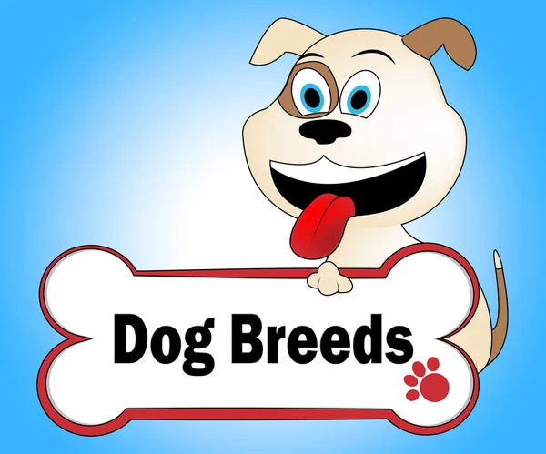 Dog Breeds Shows Purebred Pets And Pet — Stock Photo, Image