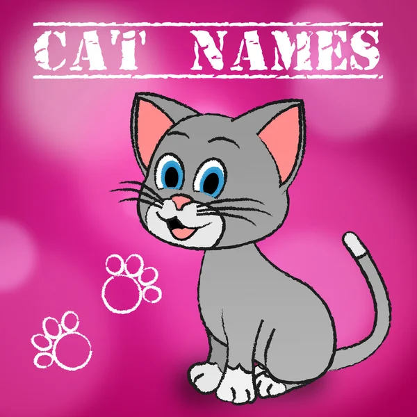 Cat Names Representa a Pedigree Feline y Kitten —  Fotos de Stock