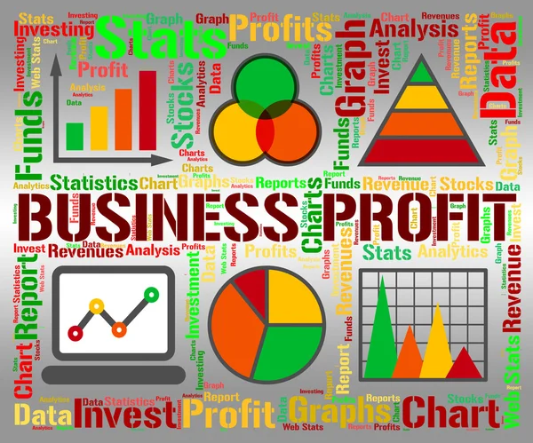 Business Profit Represents Statistic Earning And Lucrative — Stock Photo, Image