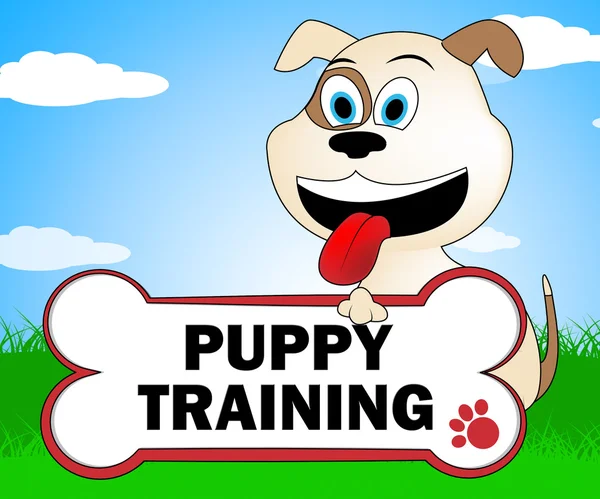 Puppy Training representerar instruktion utbildare och hund — Stockfoto