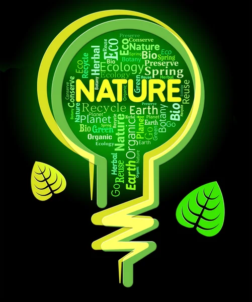 Naturworte zeigen Glühbirne und Umwelt — Stockfoto