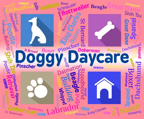 Doggy Daycare показує Pet Pups І Canines — стокове фото