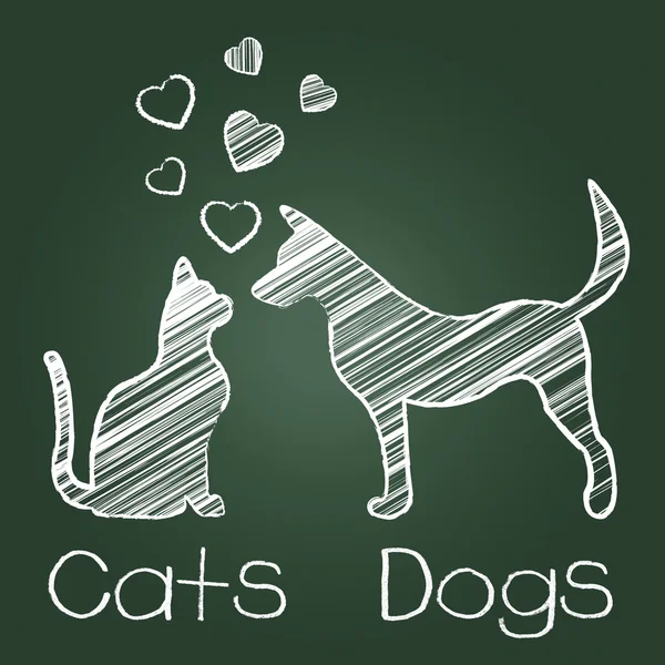 Gatti cani amore mostra compassione cucciolo e gattino — Foto Stock