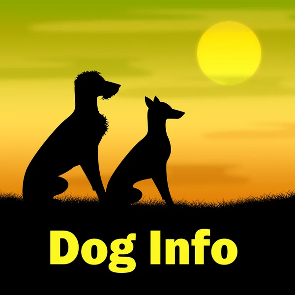 Информация о собаках указывает на собак собак и пейзаж — стоковое фото