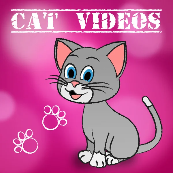 Kedi videolar temsil ses görsel ve kediler — Stok fotoğraf