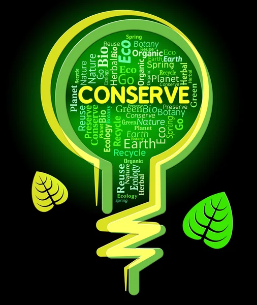 Conserve Lightbulb Shows Sustainable Conserving And Protecting — Stock Photo, Image