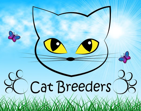 Cat Breeders Shows Breeds Pet And Bred — Stock Photo, Image