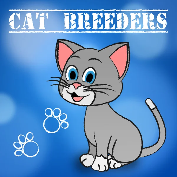 猫咪饲养者代表饲养繁殖和交配 — 图库照片