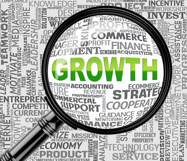 Growth Magnifier Indicates Increase Searches And Searching — Stock Photo, Image