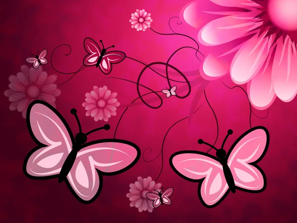 Borboletas em flores indica florista borboleta e flor — Fotografia de Stock