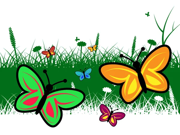 Бабочка летом символизирует теплых бабочек и лето — стоковое фото