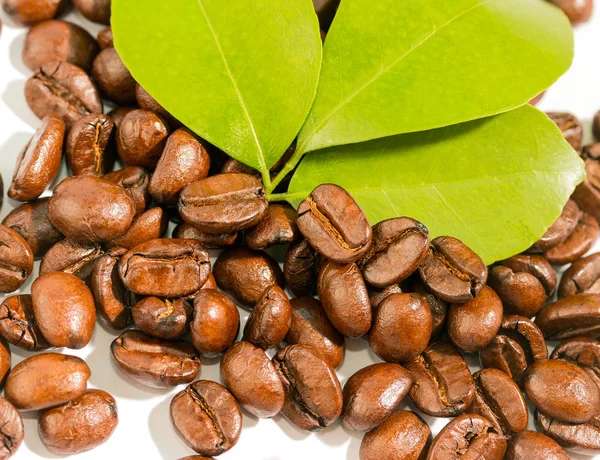 Kahve çekirdekleri taze lezzetli lezzetli ve Restoran temsil eder — Stok fotoğraf