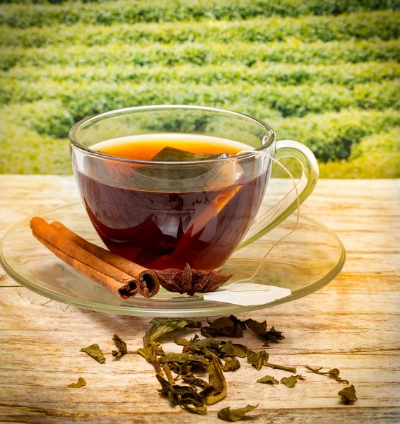 Té con canela indica tiempo de descanso y bebida — Foto de Stock