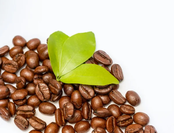 Coffee Beans Fresh Represents Hot Drink And Barista — Stock Photo, Image