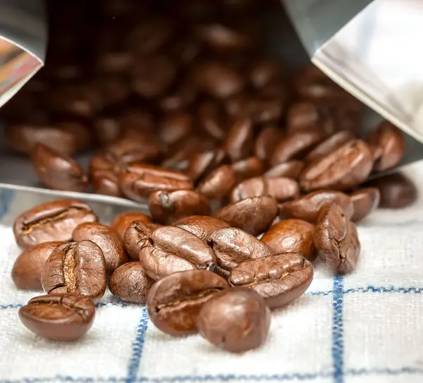 Kahve çekirdekleri Barista kahve ve demlemek gösterir — Stok fotoğraf