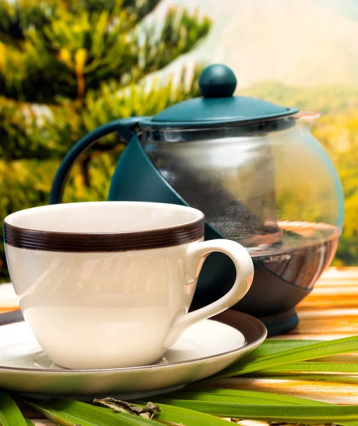 Açık çay serinletici içecek yenilenir ve çaylar temsil eder — Stok fotoğraf
