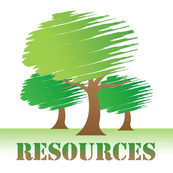 Resources Trees Means Natural Sources And Nature — Stock Photo, Image