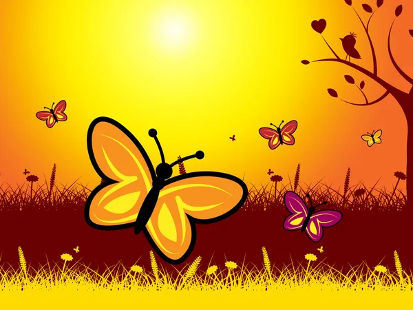 Motyle i kwiaty Pokaż charakter wieczoru i lato — Zdjęcie stockowe
