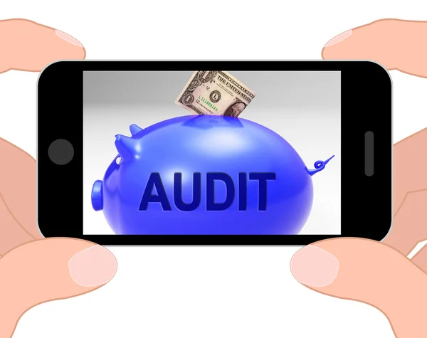 Audit Piggy Bank Displays Auditing Inspecting And Finances — Stock Photo, Image