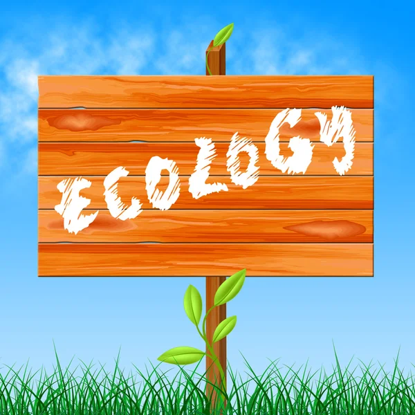 Экология представляет собой экологически безопасное природопользование и сохранение — стоковое фото