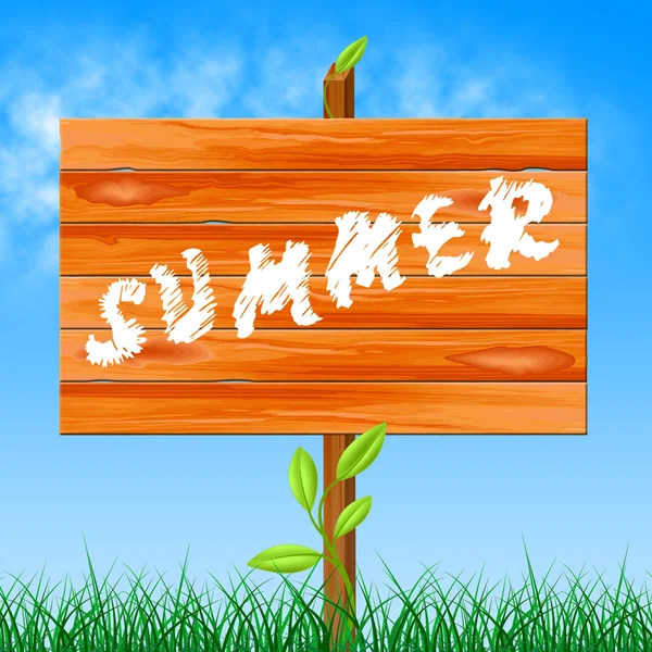 温暖的夏天意味着季节环境和热 — 图库照片