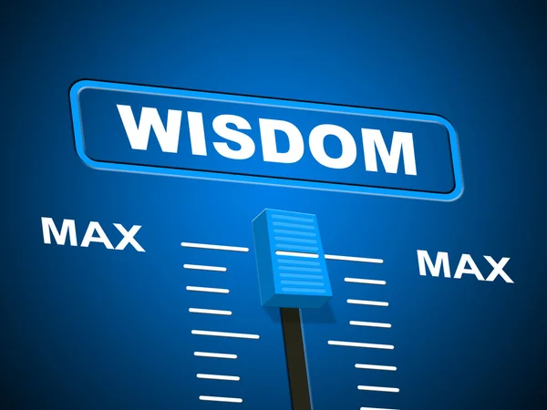 Wisdom Max Means Smartness Most And Wise — Stock Photo, Image