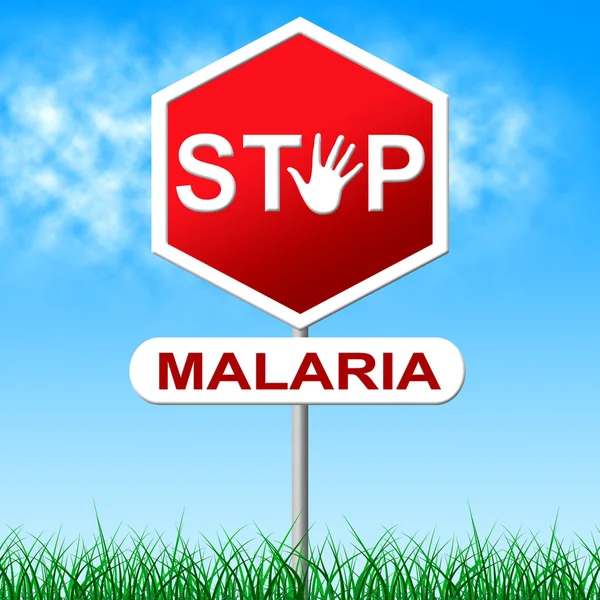 Stop Malaria représente l'arrêt du danger et de l'avertissement — Photo