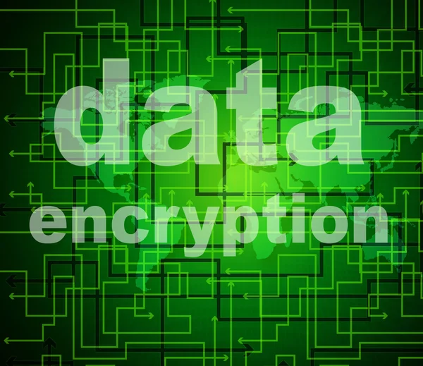 Data Encryption Indicates Protected Password And Cipher — Stock Photo, Image