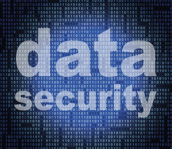 Datensicherheit bedeutet sichere Fakten und Bytes — Stockfoto