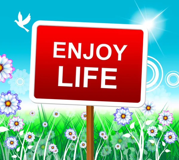 Enjoy Life Shows Positive Joyful And Jubilant — Stock Photo, Image