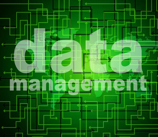 Management Data Represents Organization Authority And Managing — Stock Photo, Image