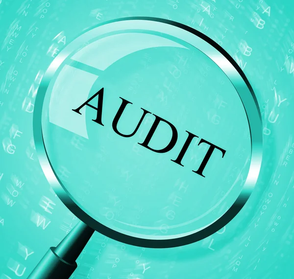 Audit Magnifier Shows Searching Auditing And Magnification — Stock Photo, Image