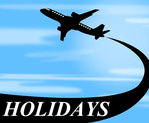 Holidays Plane Represents Go On Leave And Air — Stock Photo, Image