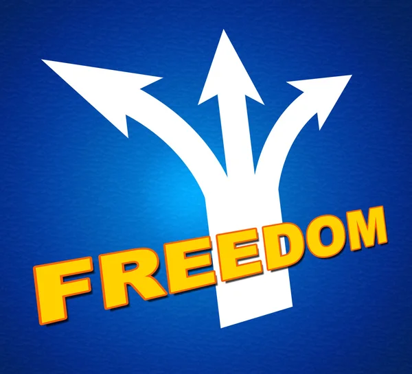 Freedom Arrows Indicates Break Out And Escape — Stock Photo, Image