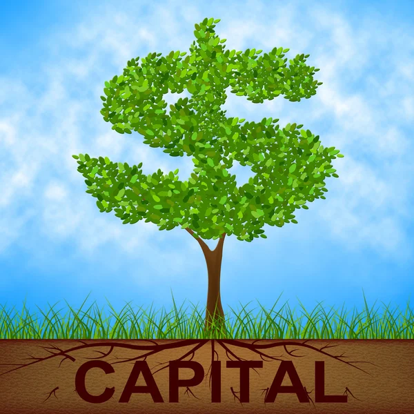 Capital Tree Indicates American Dollars And Banking — Stock Photo, Image