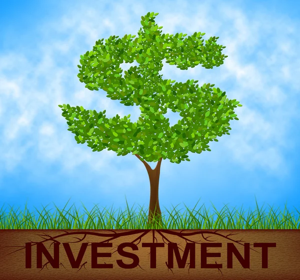 Árvore de investimento indica dólares americanos e filial — Fotografia de Stock