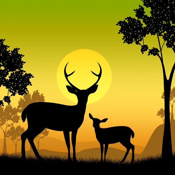 Veados Vida selvagem indica animais safári e à noite — Fotografia de Stock