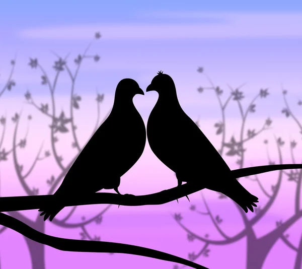 Love Birds Represents Compassion Passion And Heart — Stock Photo, Image