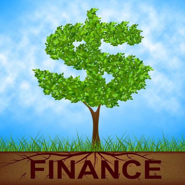 Finance Tree Means United States And Bank — Stock Photo, Image