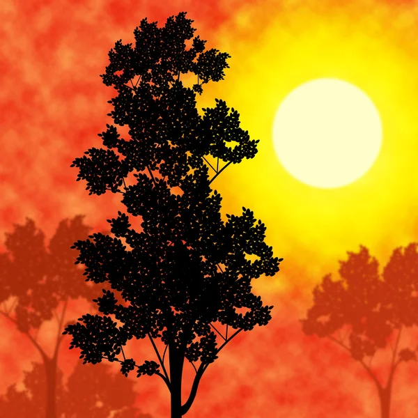Campo por do sol significa natureza pitoresca e quente — Fotografia de Stock