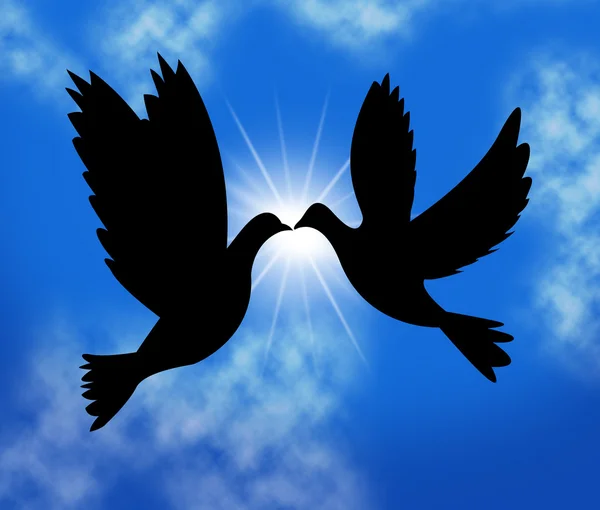 Peace Doves Indicates Flock Of Birds And Wildlife — Stock Photo, Image