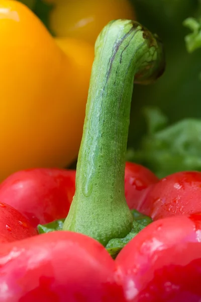 Red Yellow Peppers Shows Bellpepper Vegetarian And Healthy — Stock Photo, Image